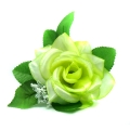 Róża w pąku - główka z liściem Green